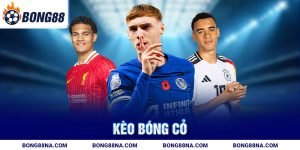 Kèo bóng cỏ