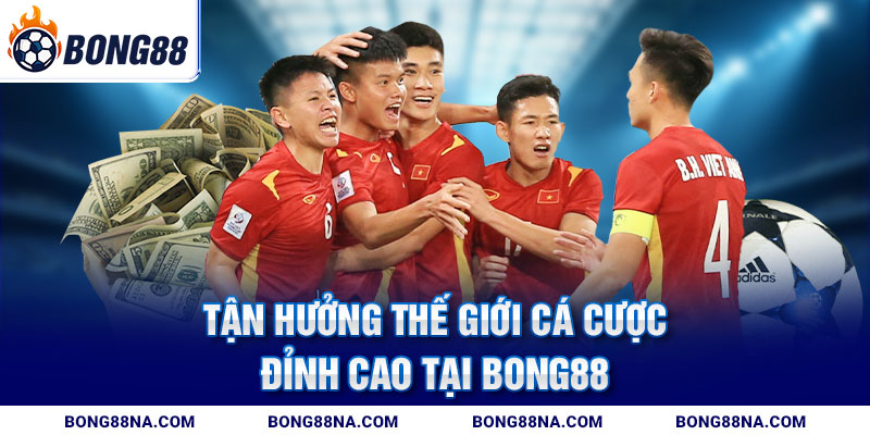 Tận hưởng thế giới cá cược đỉnh cao